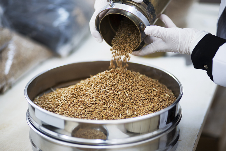 Dlaczego warto zainwestować we włoskie suszarnie przewoźne do ziarna zbóż i kukurydzy (Mecmar i Agrimec)