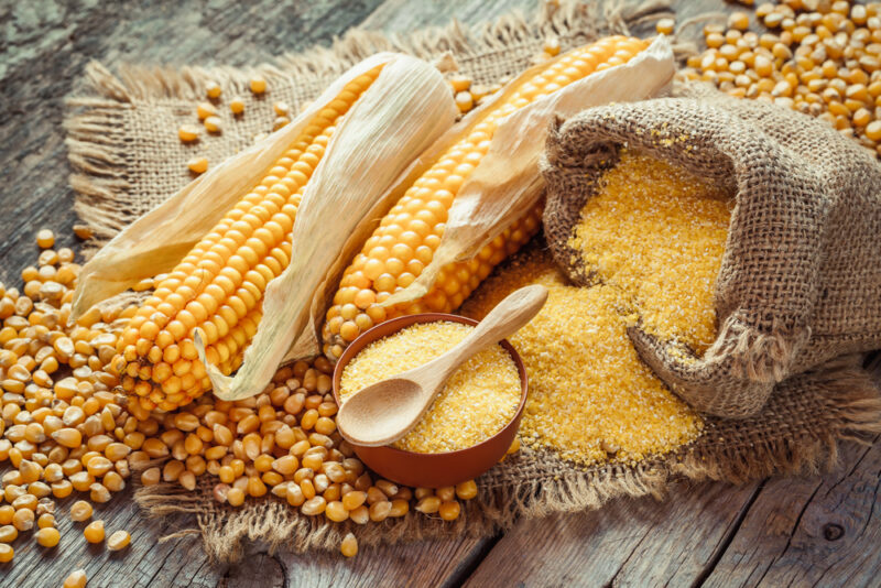 Dlaczego warto skorzystać z wynajmu suszarni do zbóż i kukurydzy?