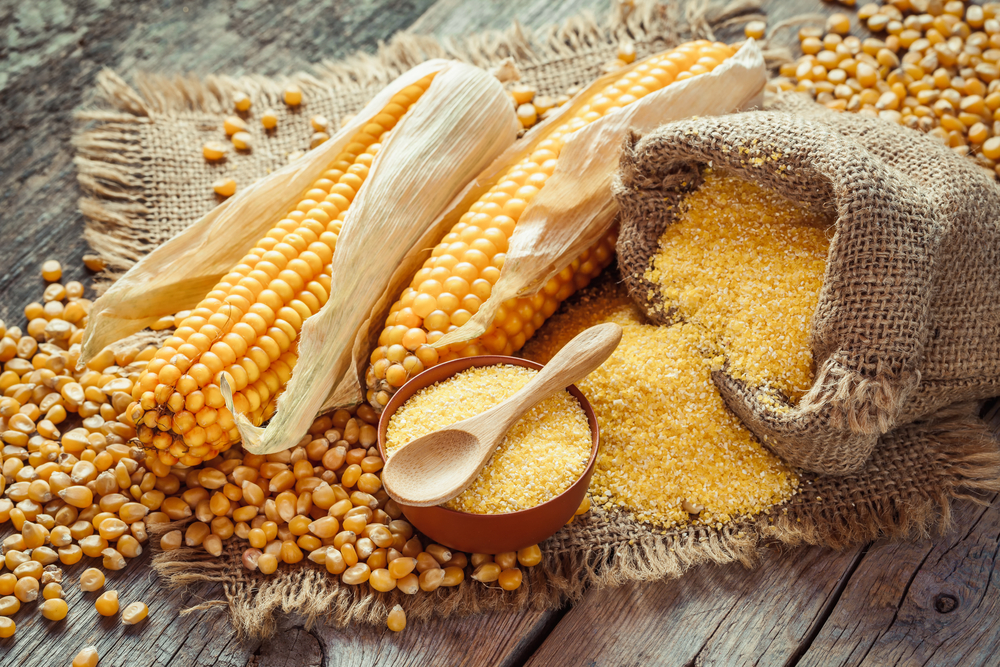Dlaczego warto skorzystać z wynajmu suszarni do zbóż i kukurydzy