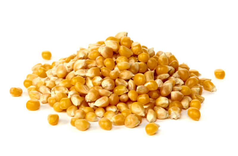 Od czego zależy cena suszenia kukurydzy?